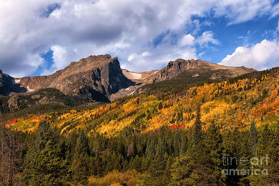Fall Colors At Rocky Mountain National Park Photograph