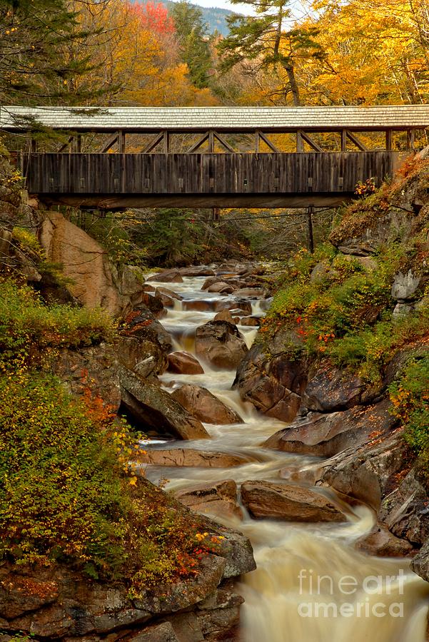 Fall Colors At Sentinel Pine Bridge Photograph by Adam Jewell