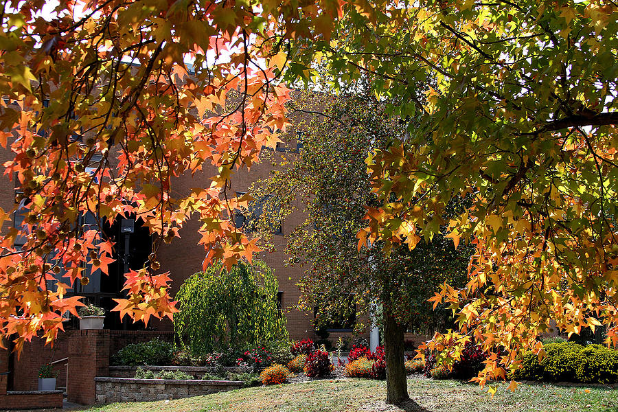 Fall Colors at SWIC Photograph by John Freidenberg