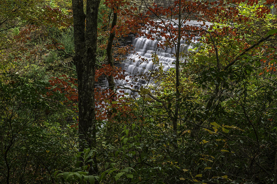Fall Colors At Table Rock State Park Pickens County South Carolina Photograph by Willie Harper