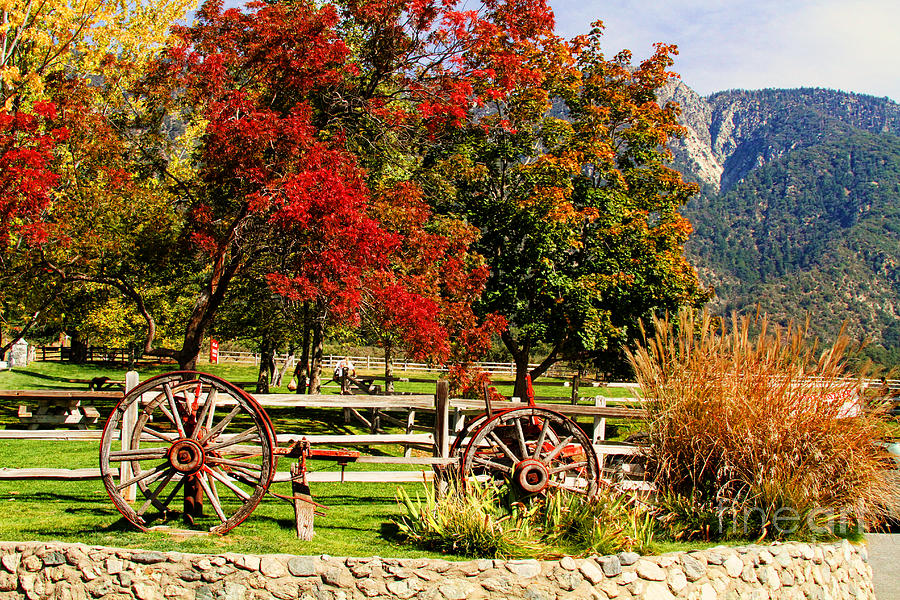 Fall Colors at the Apple Farm Photograph by Diana Raquel Sainz
