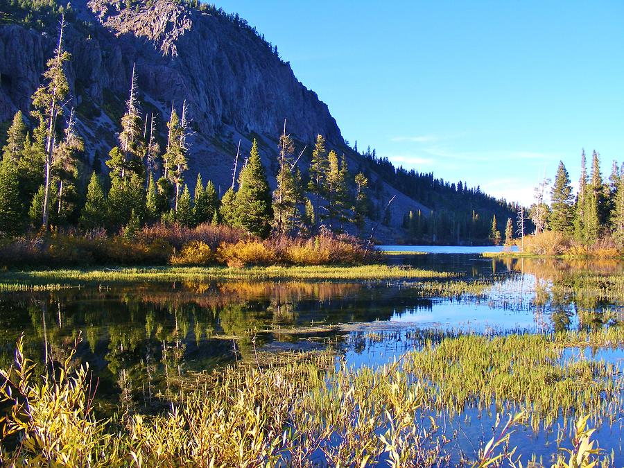 Fall Colors At The Grassy End Of Mammoth Lake Photograph by Cherie COKELEY