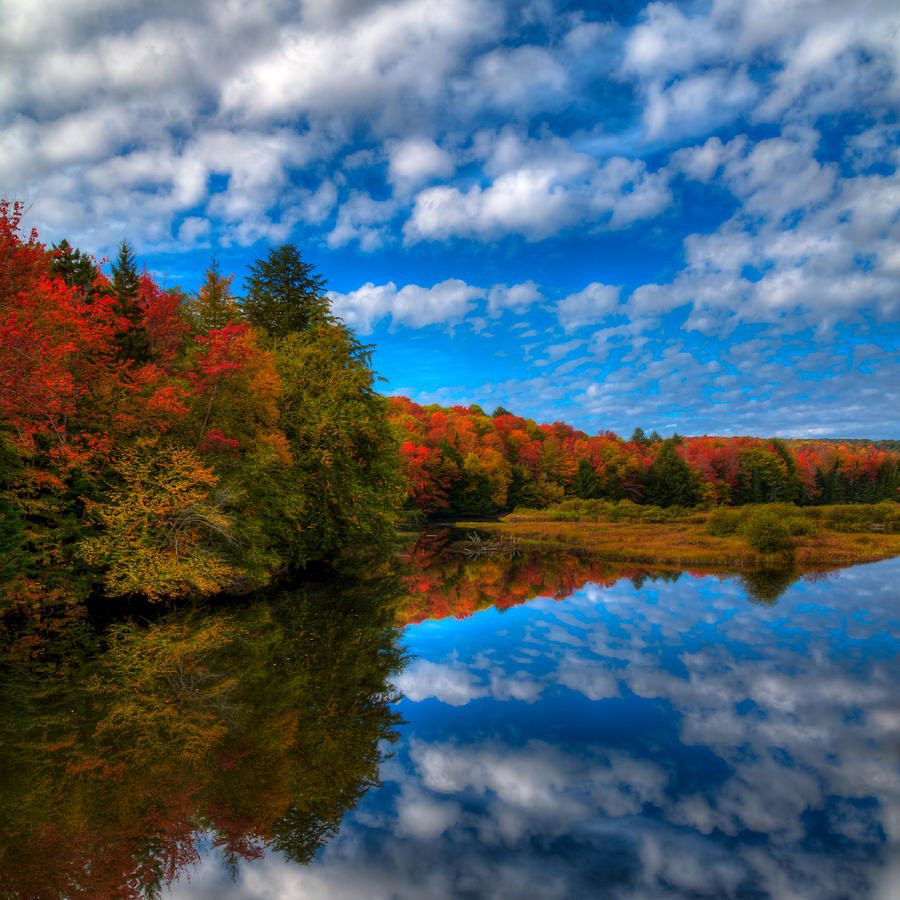 Fall Colors at the Green Bridge Photograph by David Patterson