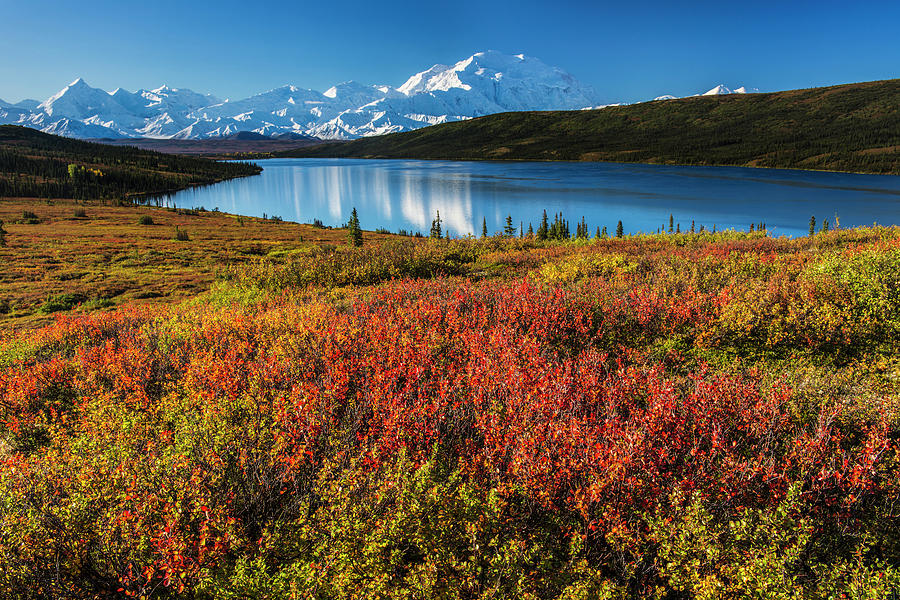 Fall Colors At Wonder Lake In Morning Photograph by Carl Johnson