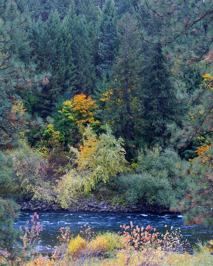 Fall Colors by the Spokane River Photograph by Ben Upham III