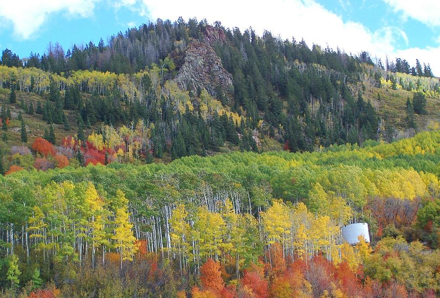 Fall Colors Cedar Mountain Utah Photograph by Douglas Miller
