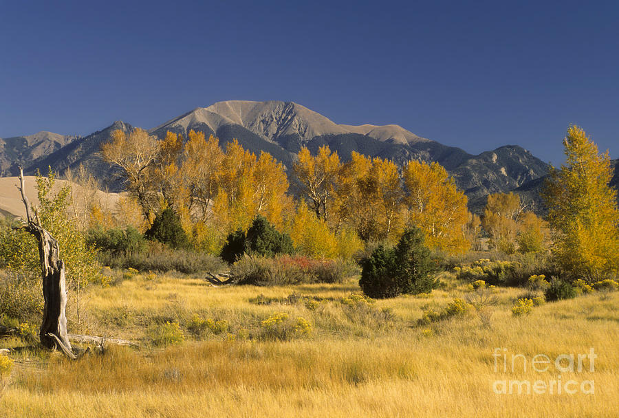 Great Sand Dunes National Park Photograph - Fall Colors, Colorado by Richard and Ellen Thane