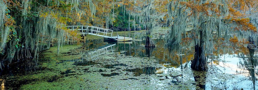 Caddo Lake Photograph - Fall Colors come to Caddo Lake by Geoff Mckay