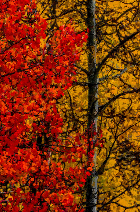 Fall Colors DP 1 Digital Art by Ernest Echols