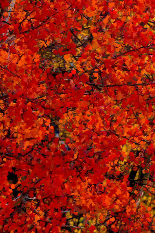 Fall Colors DP 3 Digital Art by Ernest Echols