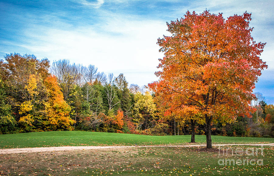 Fall Colors Photograph by Grace Grogan