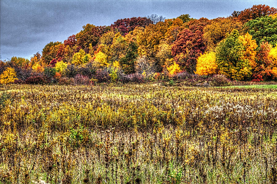 Fall Colors I Photograph by Roger Passman