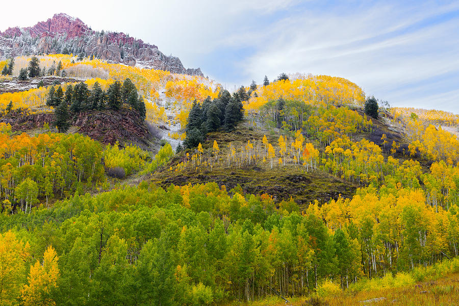 Fall Colors In Aspen Colorado Photograph by Tim Reaves