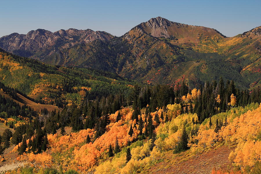 Fall Colors In Big Cottonwood Canyon Photograph By Richard Cheski Pixels 