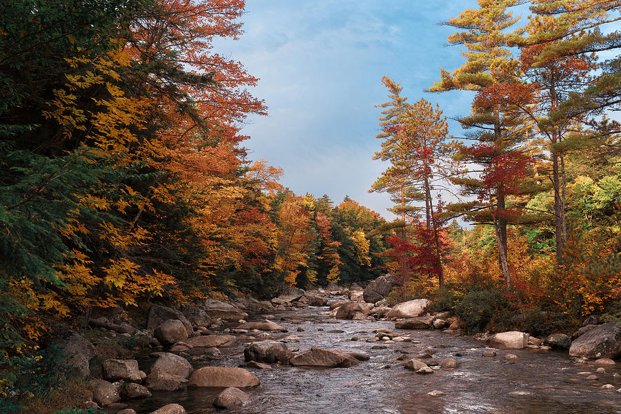 Fall colors in New Hampshire Photograph by Guillermo Olaizola - Fine ...