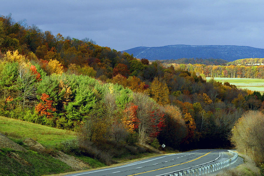 Fall Colors In The Back Mountain Photograph by Gene Walls
