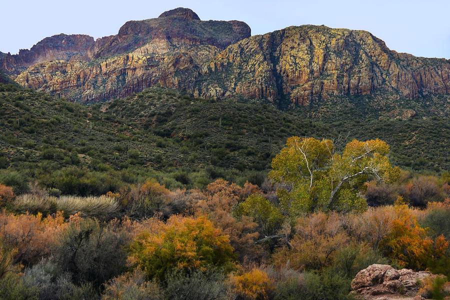 Fall Colors in the Desert - horizontal Photograph by Dave Dilli