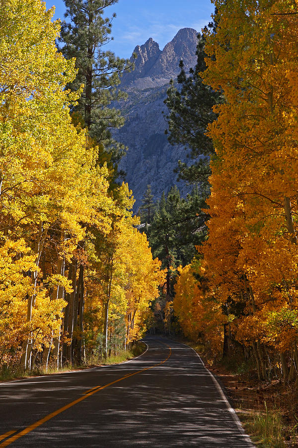 Mountain Photograph - Fall Colors in the Eastern Sierra Nevada by Steve Wolfe