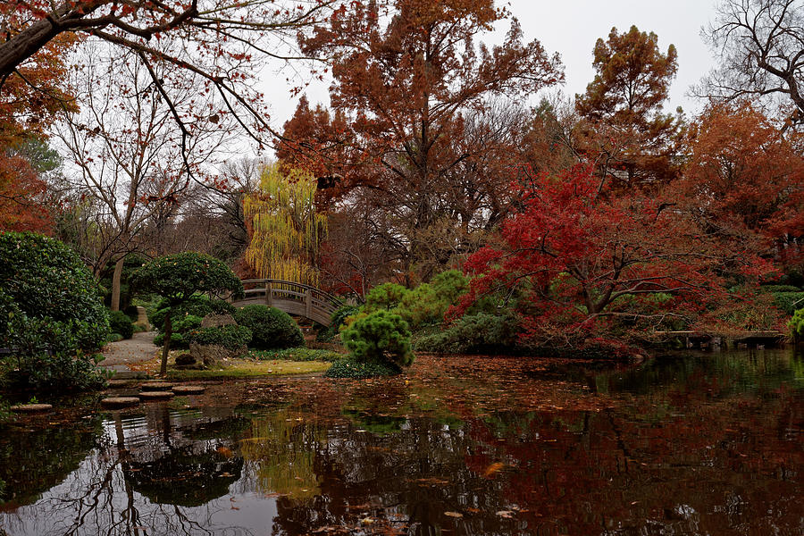 Fall Colors In The Garden Photograph by Jonathan Davison
