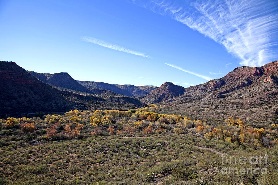 Fall Colors in the Verde Canyon along the Verde River in Arizona Photograph by Ron Chilston