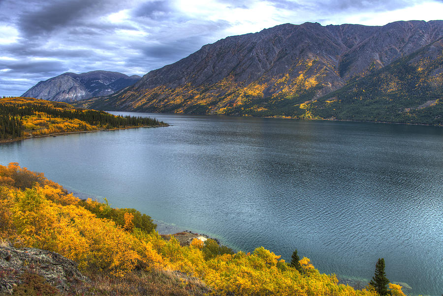 Fall Colors In The Yukon Photograph by Mark Newman