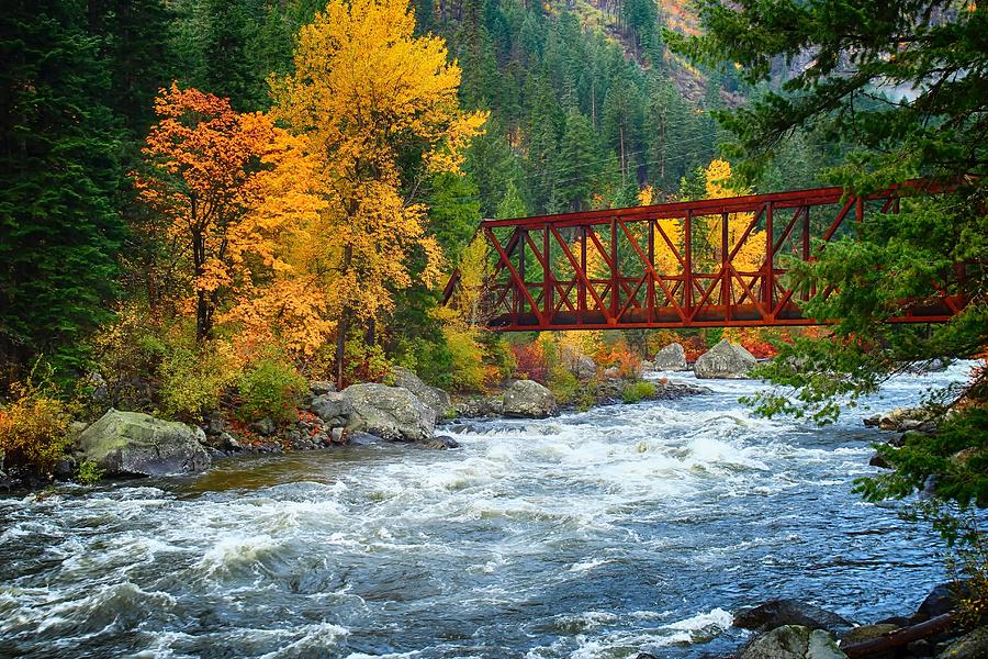 Fall colors in Tumwater Canyon Photograph by Lynn Hopwood