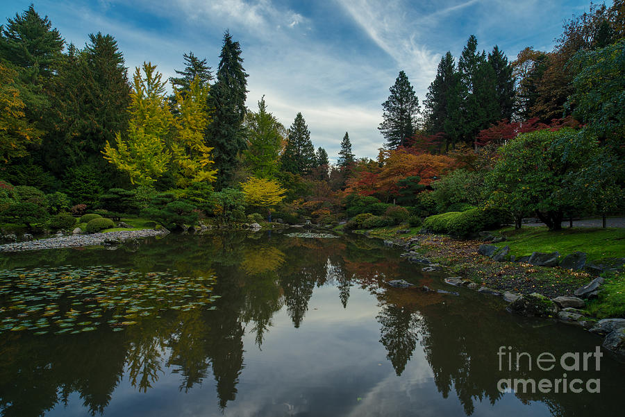 Fall Colors Japanese Garden Serenity Photograph by Mike Reid