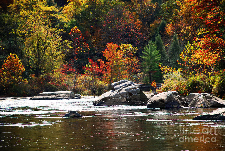 Fall Colors Photograph - Fall Colors by John Devlin