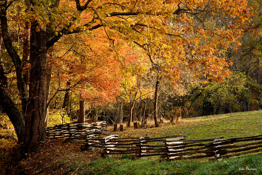 Fall Colors, Asheville, North Carolina Photograph by John Pagliuca