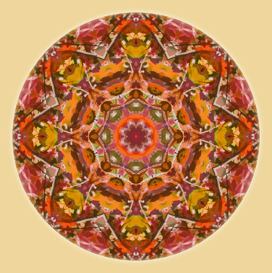 Fall Colors Mandala 2 Digital Art by Beth Sawickie