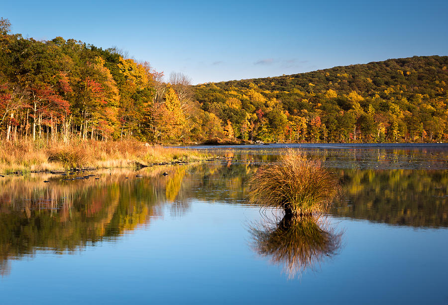 Fall colors Photograph by Mihai Andritoiu