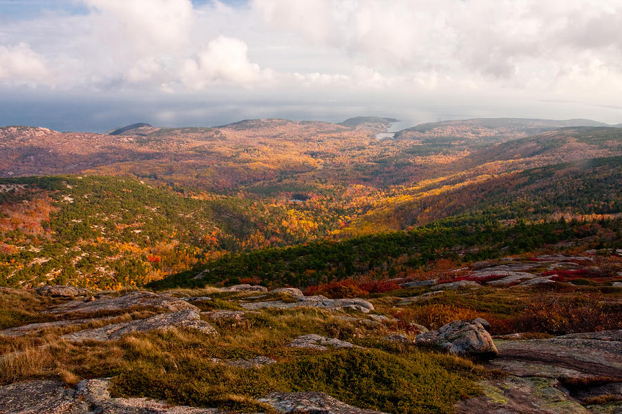 Fall Colors of Acadia 6656 Photograph by Brent L Ander