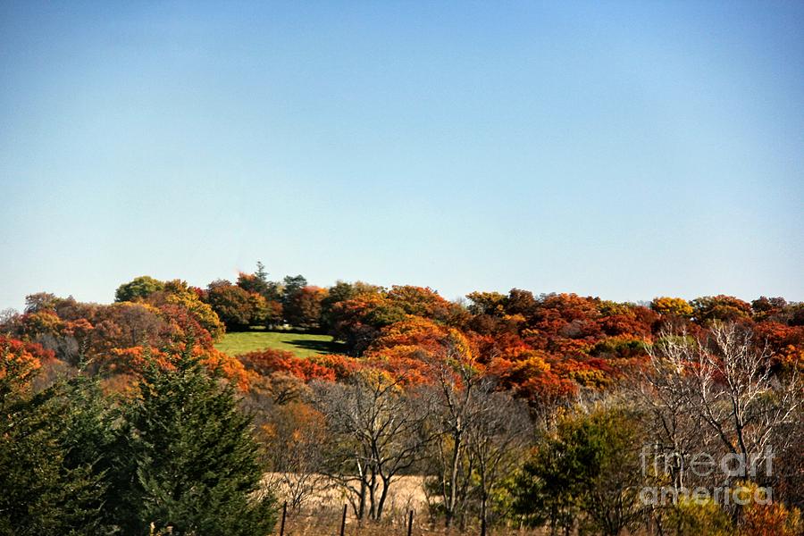 Fall colors of Iowa series 1 Photograph by Yumi Johnson