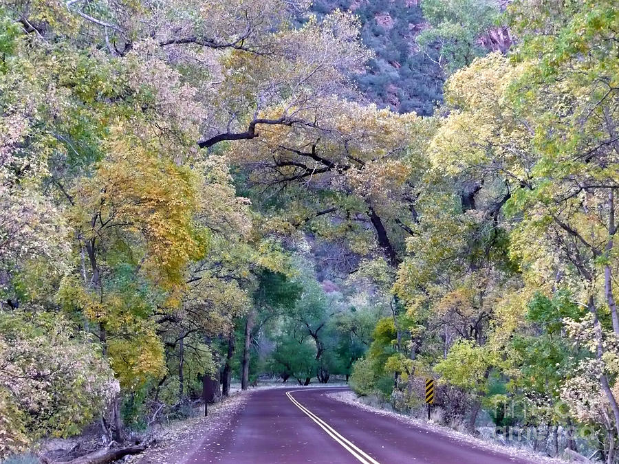 Zion National Park Photograph - Fall Colors of Zion by Rachel Gagne