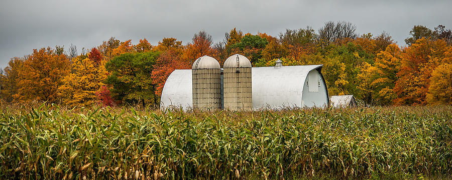 Fall Colors On A Farm Photograph by Paul Freidlund