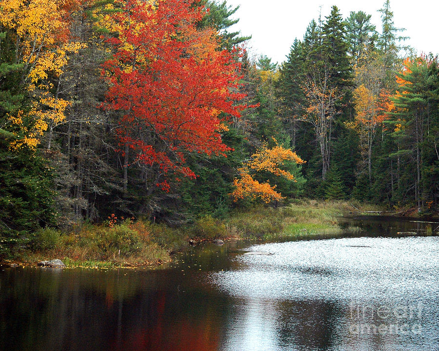 Fall Colors On A Lake Photograph by Robert Suggs