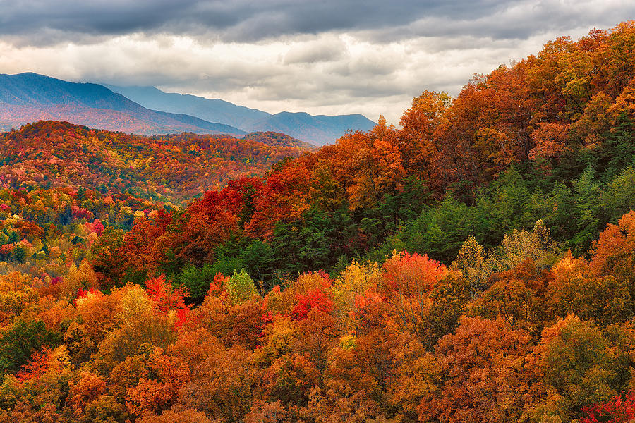 Fall Colors on Foothills Parkway West Photograph by Gwen Cross | Fine ...