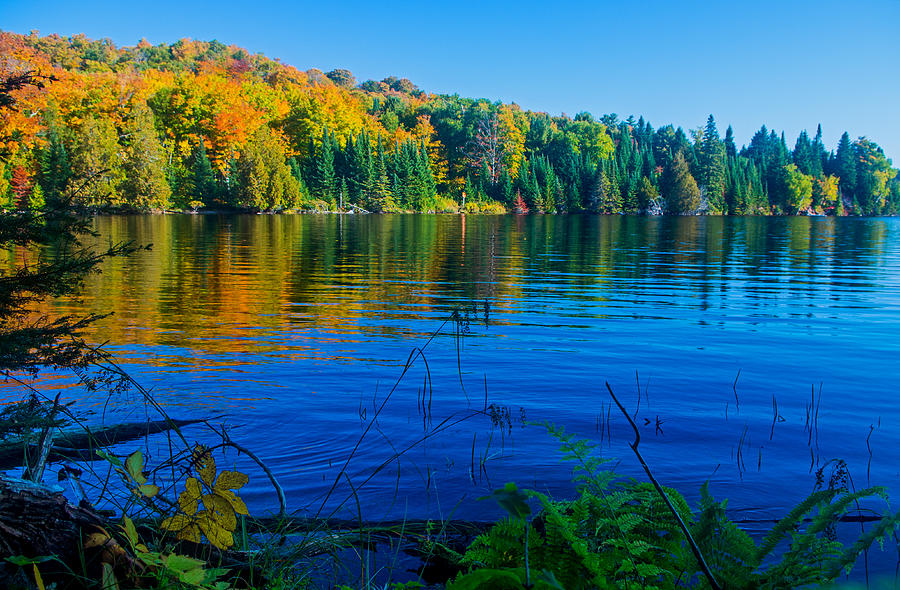 Fall colors on Grand Sable Lake Photograph by Gary McCormick