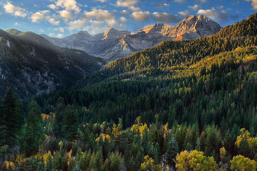 Fall Colors on Mt. Timpanogos Photograph by Douglas Pulsipher