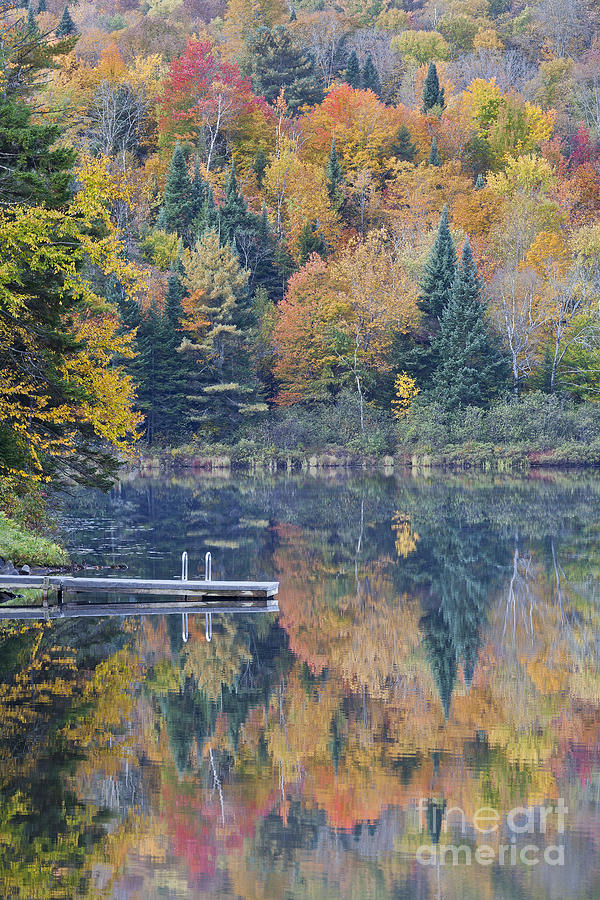 Fall Colors On Nelson Pond Photograph by Alan L Graham