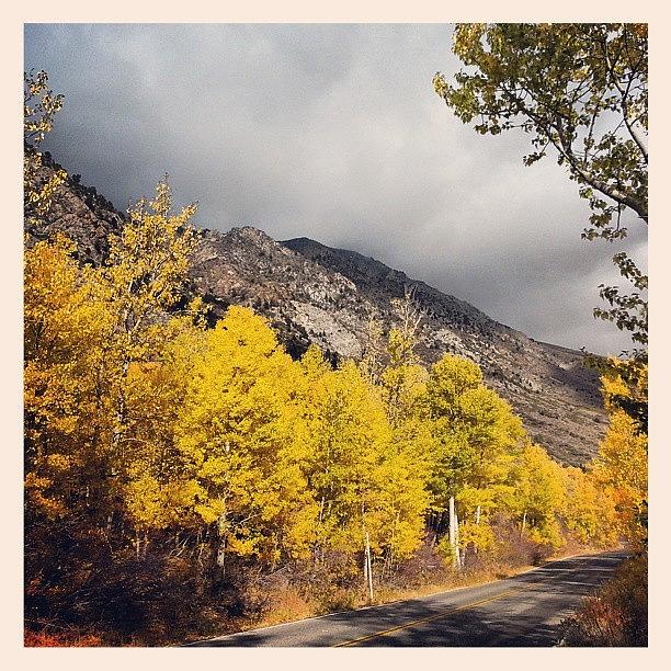 Fall Photograph - Fall Colors On The 158 #junelakeloop by HK Moore
