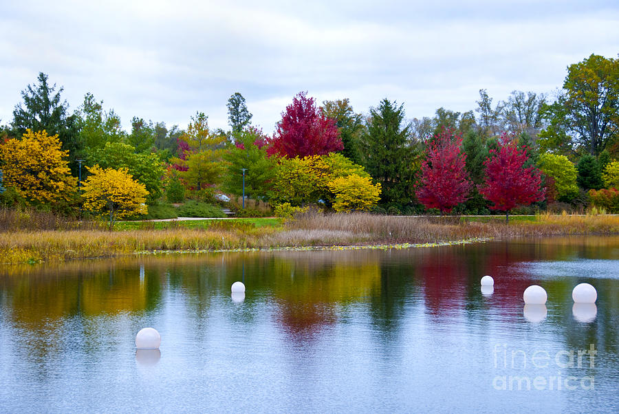 Fall Colors on the Lake Photograph by Christine Jeffers - Fine Art America