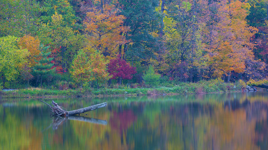 Fall Photograph - Fall colors by Ope  Oladipo