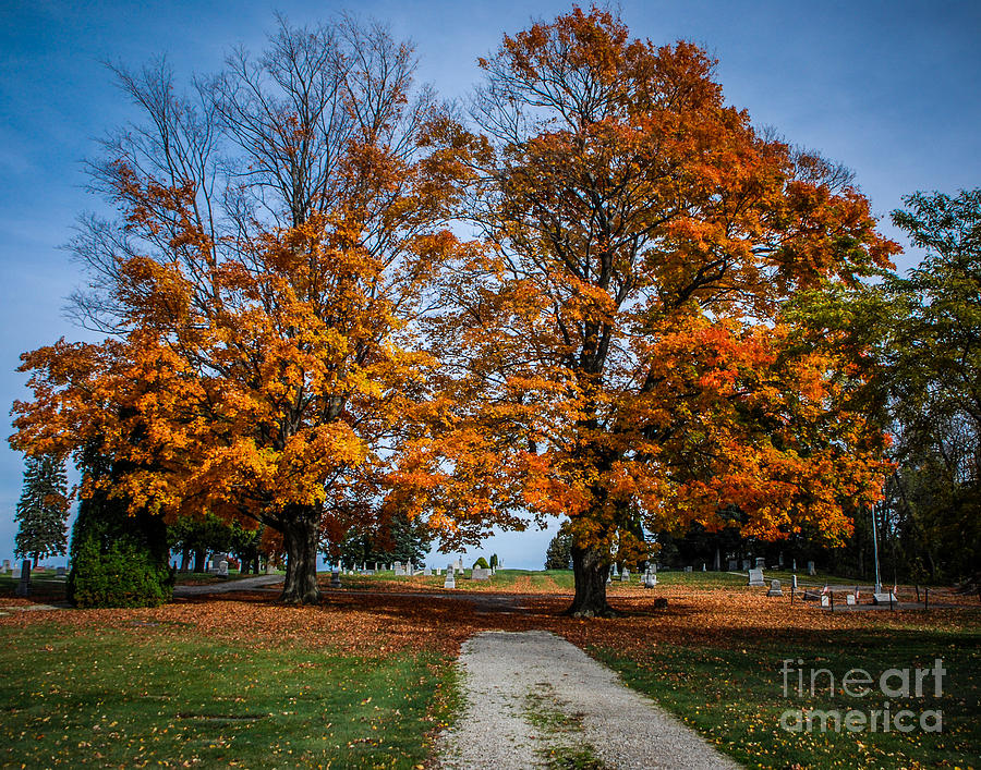 Fall Colors over Gravesites Photograph by Grace Grogan