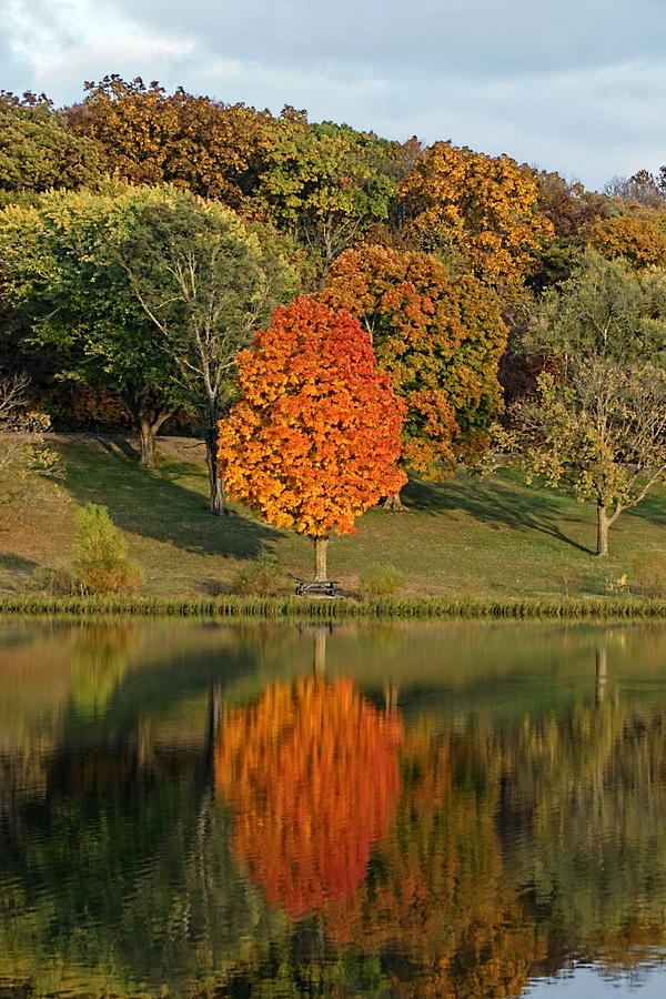 Fall Colors Reflection Photograph by Alan Hutchins