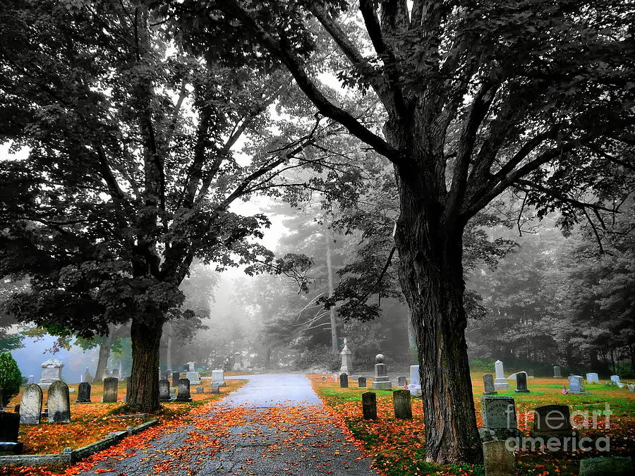 Fall Photograph - Fall Colors Selective by Nancie DeMellia