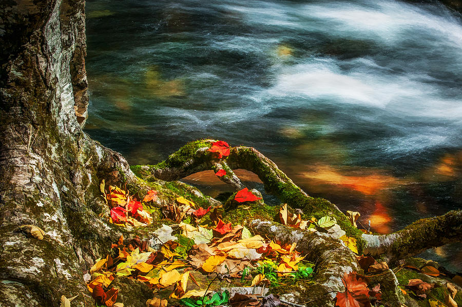 Landscape Photograph - Fall Colors Stream Great Smoky Mountains Painted  by Rich Franco