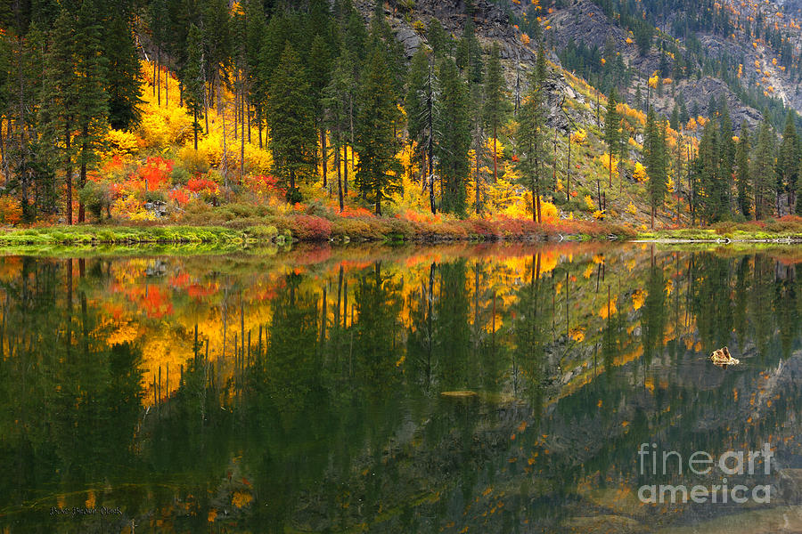 Fall Colors - Tumwater Canyon Photograph by Beve Brown-Clark Photography