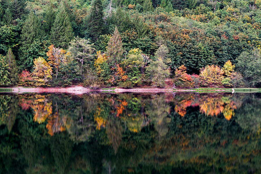 Fall Colour Reflections Photograph by Michael Russell