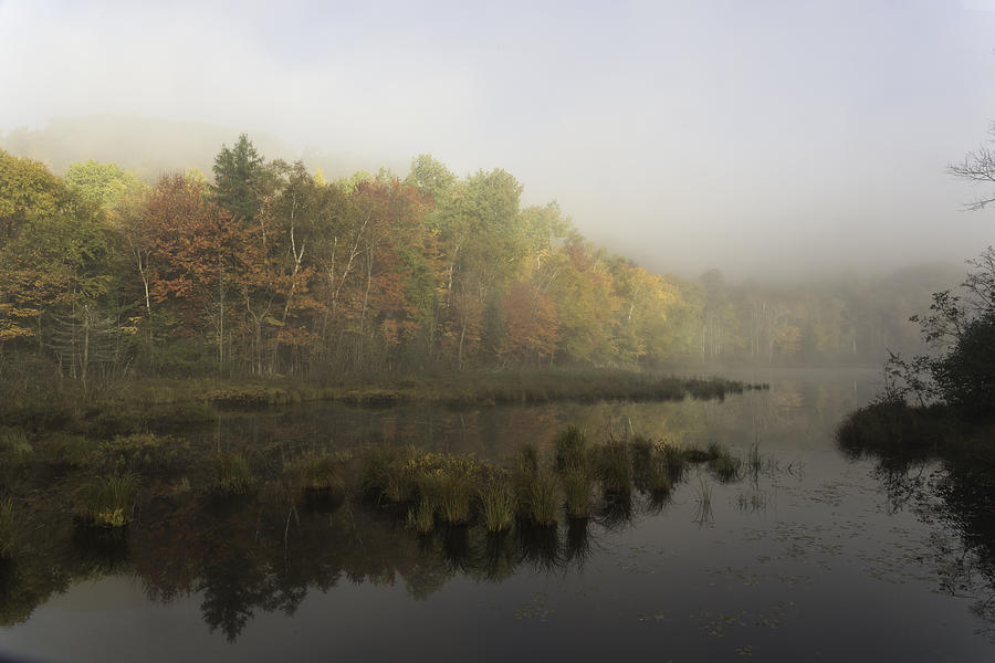 Fall colours in the morning mist Photograph by Josef Pittner